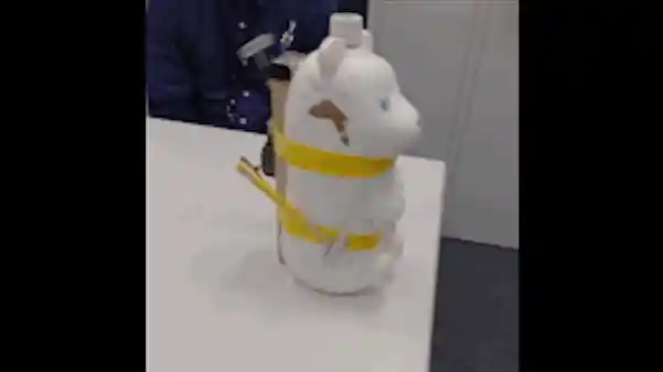 A bear robot, but poorly built